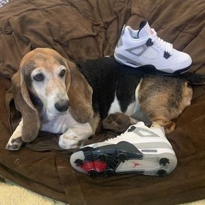 Meet your Posher, Joe